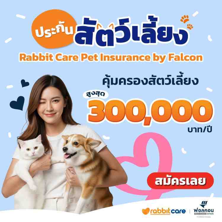 Pet-top-banner-mobile-27042026.jpg